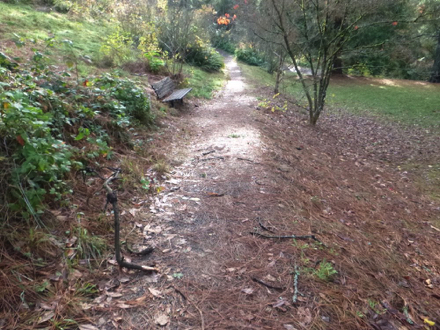 There may be debris across the trail depending on last maintenance
